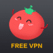 Free VPN Tomato